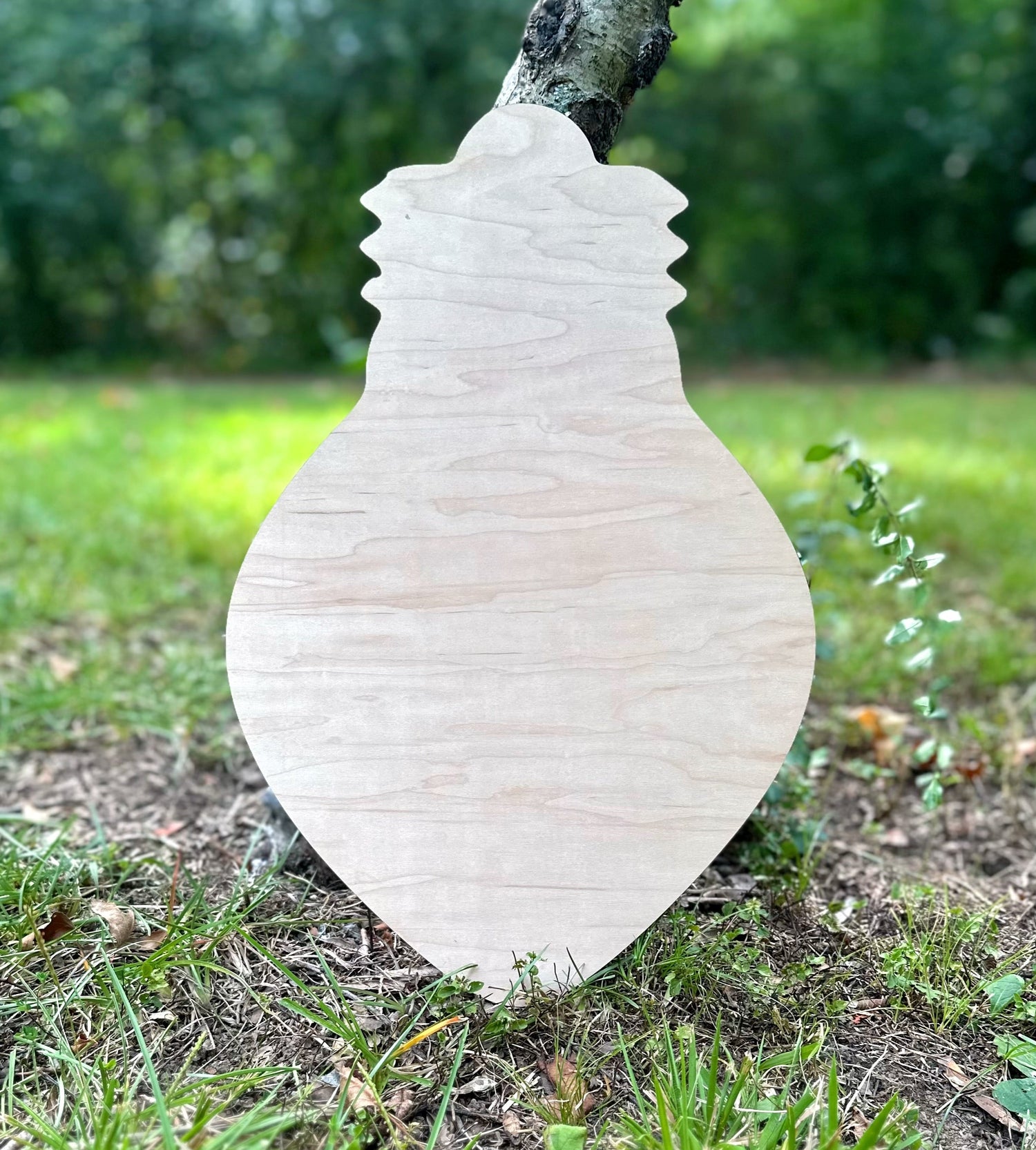Christmas Blanks