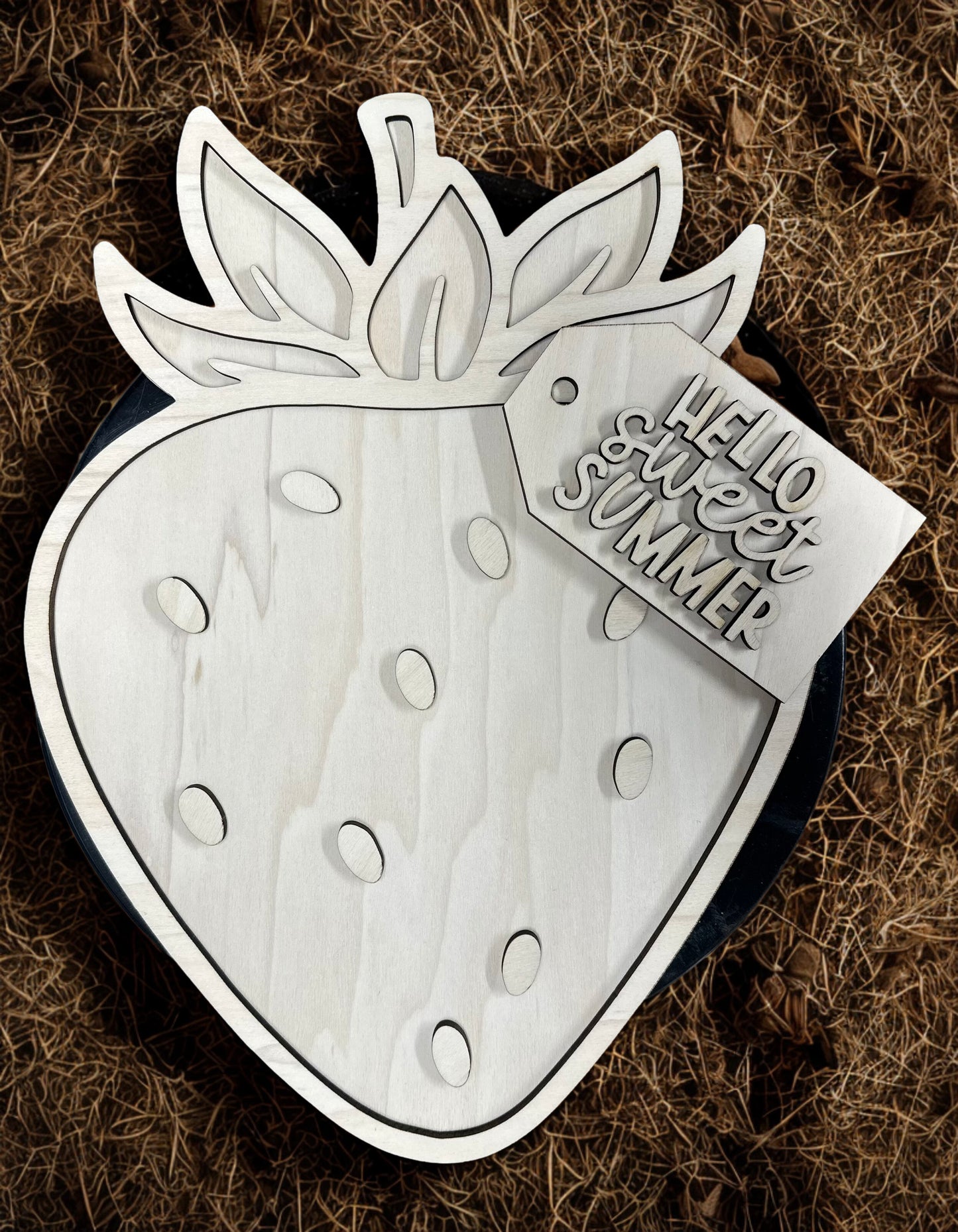 3D Strawberry Door Hanger Blank – 16x12” | 1/4” Birch | Laser Cut DIY Sign