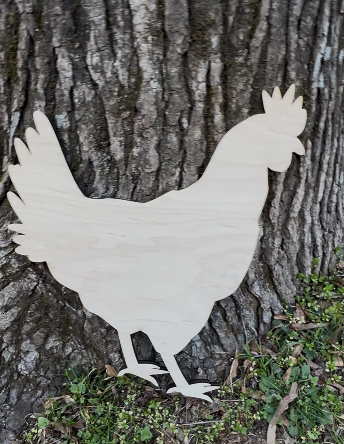 Chicken Blank